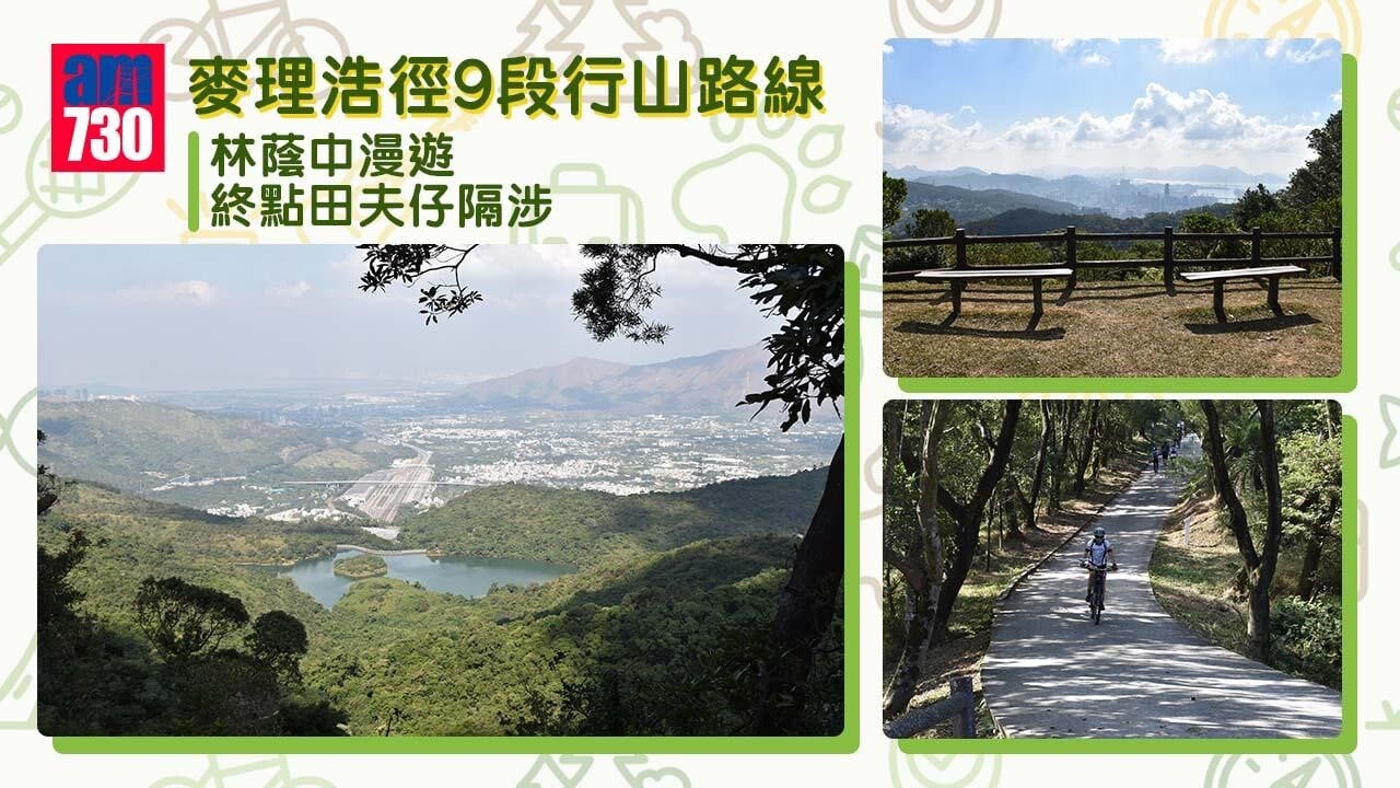 麥理浩徑9段行山路線｜落斜為主難度低 林蔭中漫遊 終點田夫仔隔涉